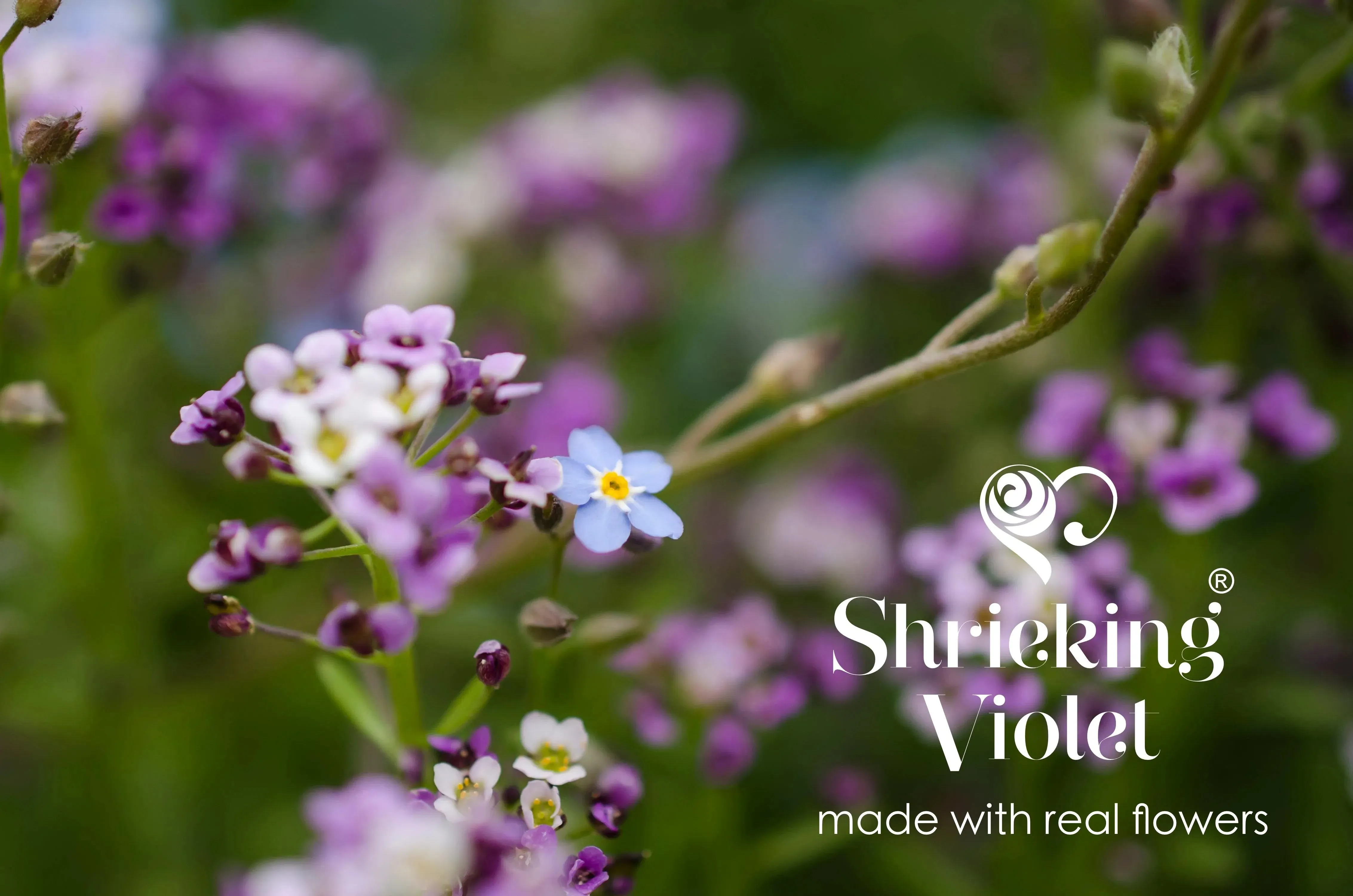 Cat necklace with real flowers by Shrieking Violet. Perfect gift for cat lover.