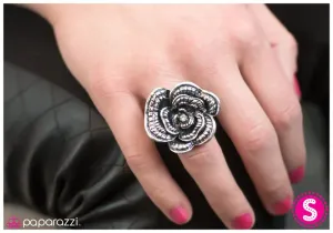 Paparazzi Ring ~ Uncommon Ground - Silver