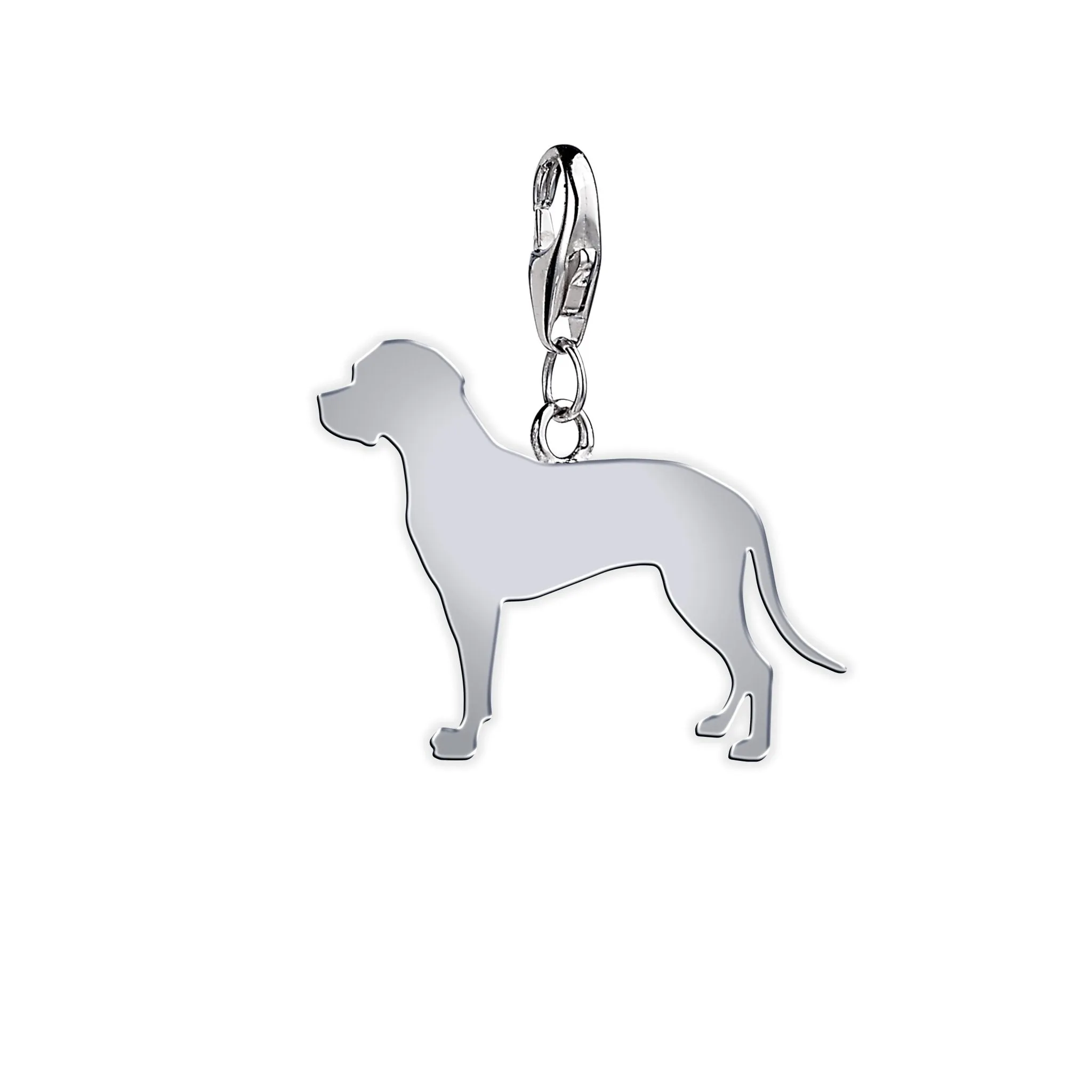 Portuguese Pointer Silhouette Silver Charm