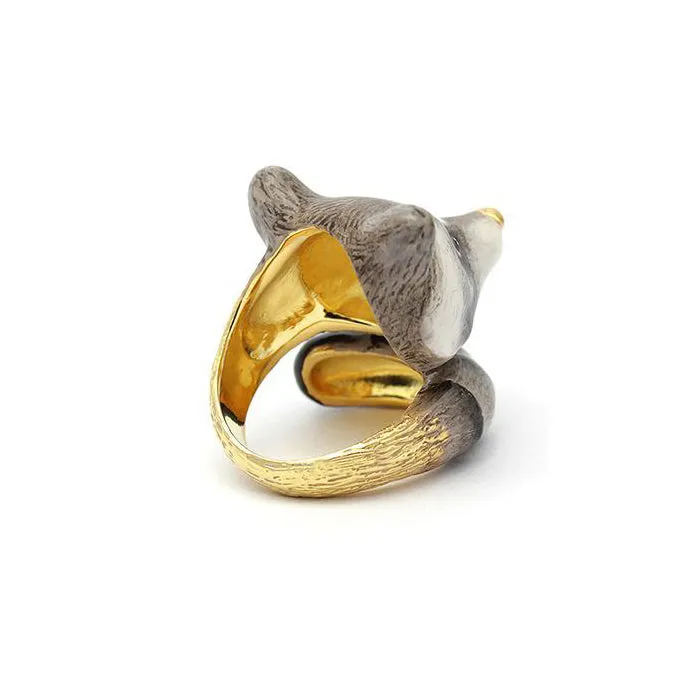 Raccoon Ring