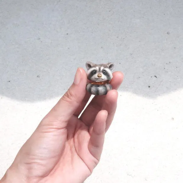 Raccoon Ring